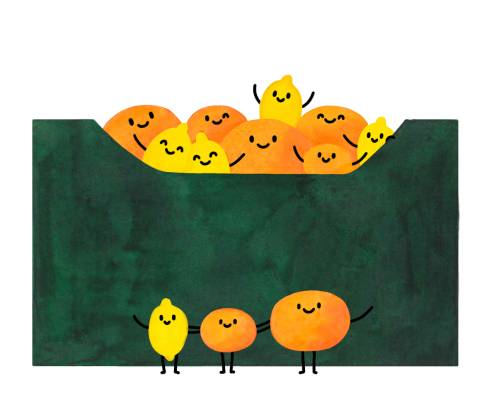 Mix citrusů
