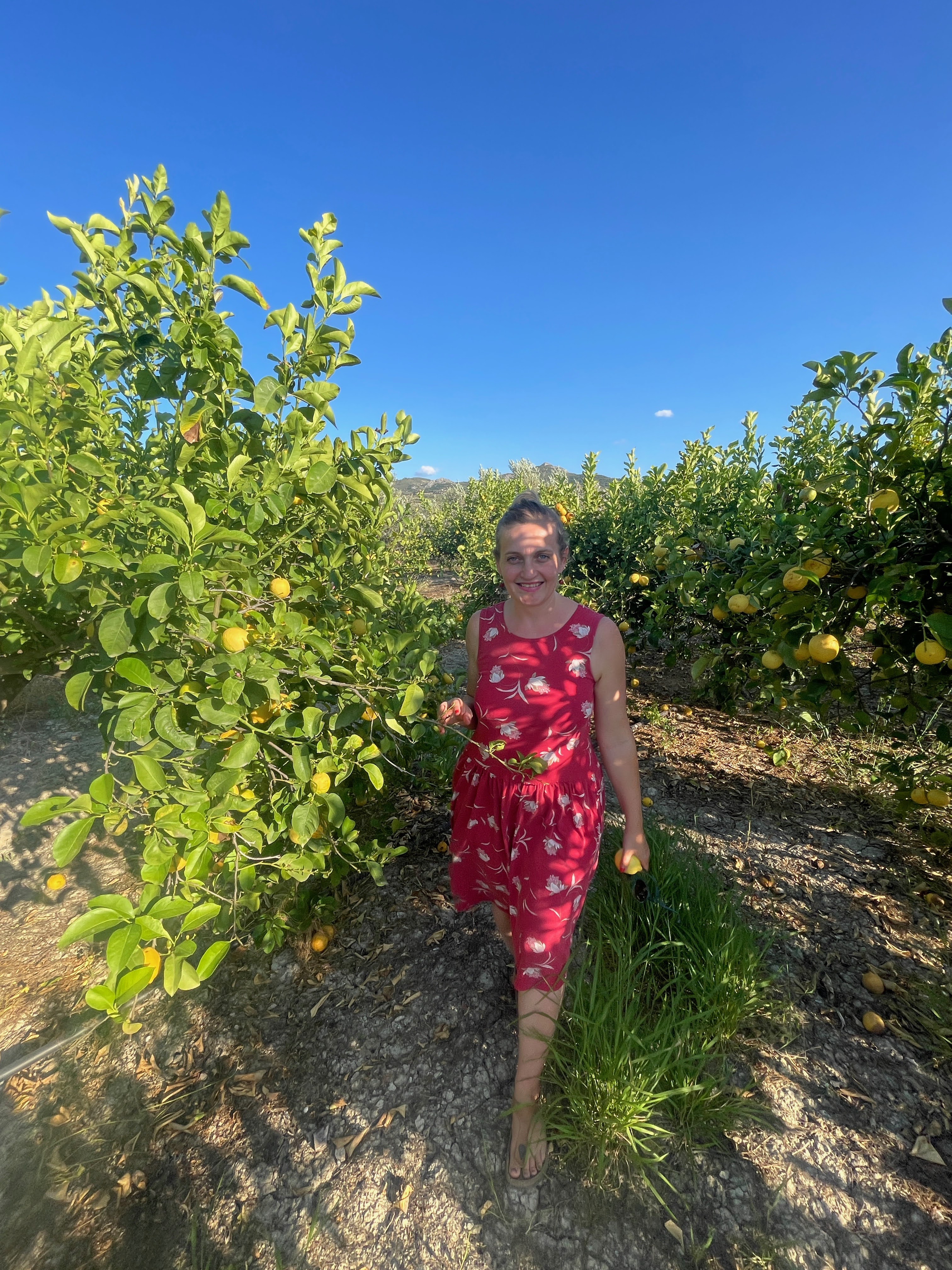 Výdejna chutí – komunita