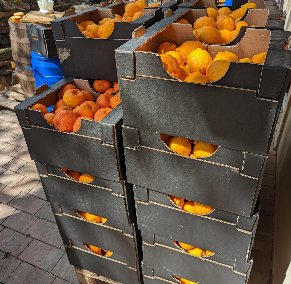 Chyba chutná hořce aneb Jak se z chyby stal jedinečný vermut